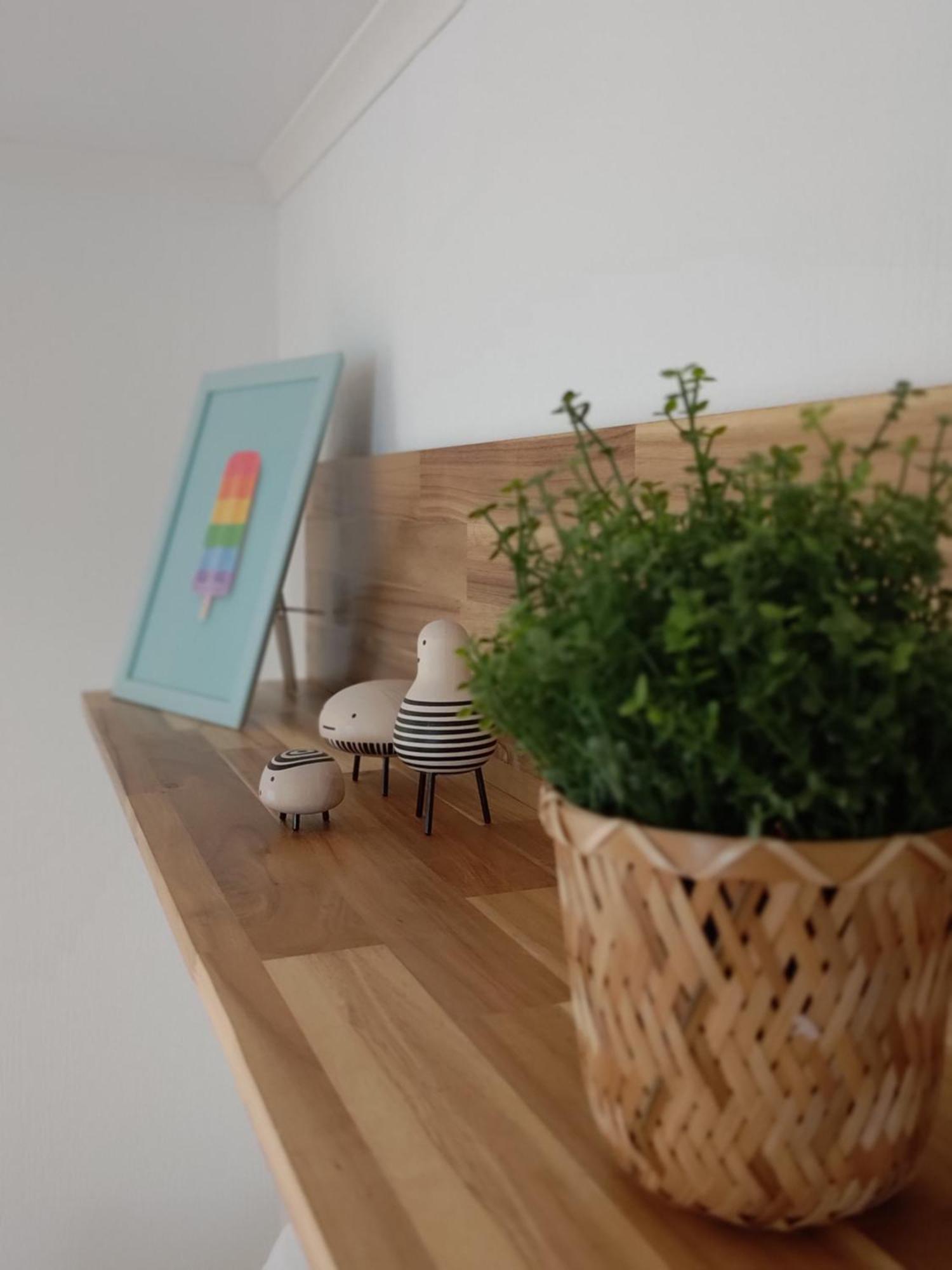 Appartementen Dorp & Duin Egmond aan Zee Exteriér fotografie
